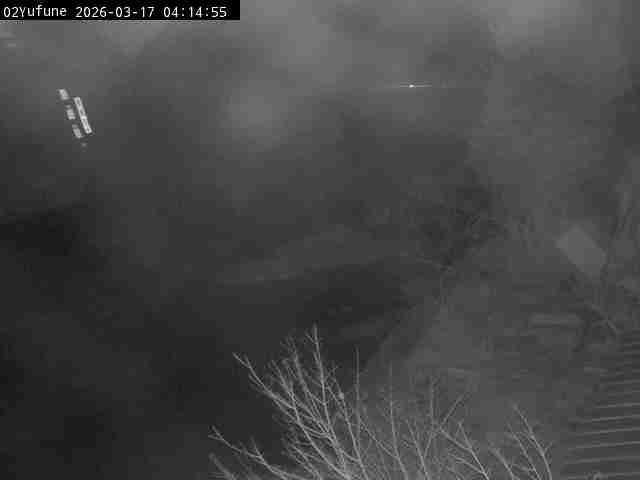 最新監視カメラ画像