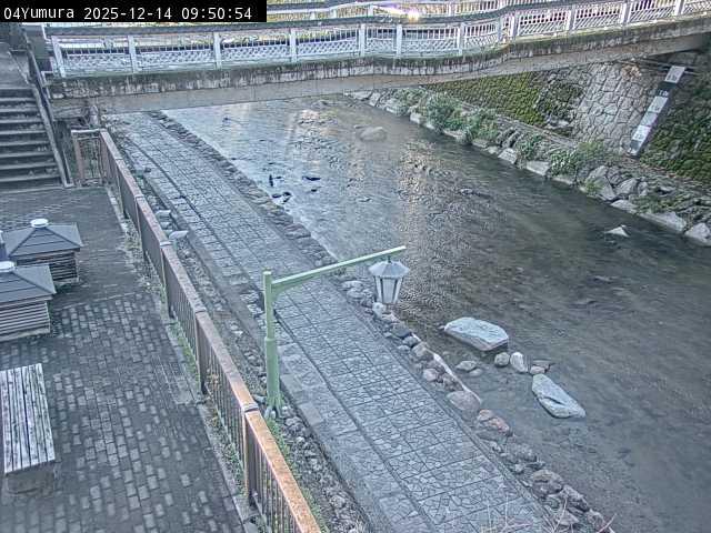 最新監視カメラ画像