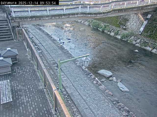 最新監視カメラ画像