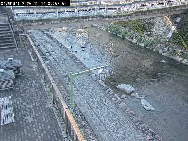 最新監視カメラ画像