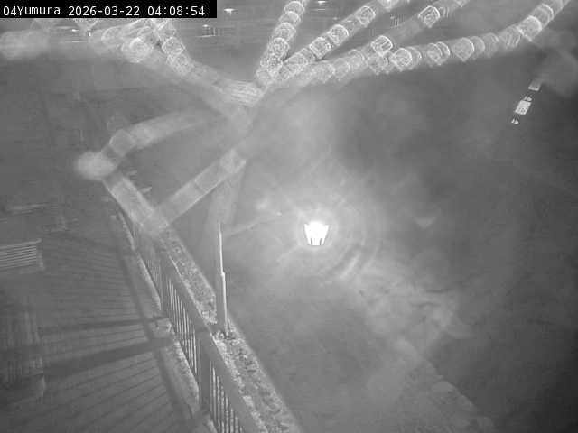 最新監視カメラ画像