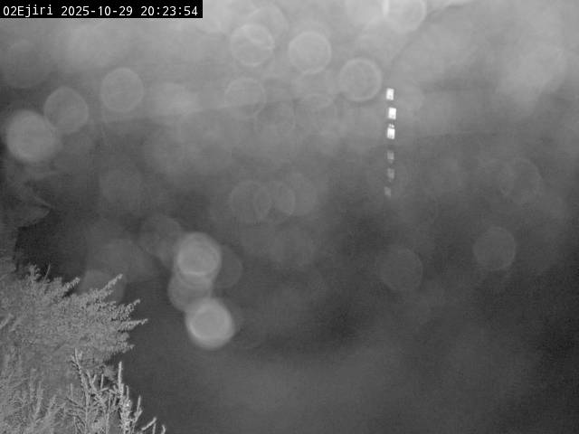 最新監視カメラ画像