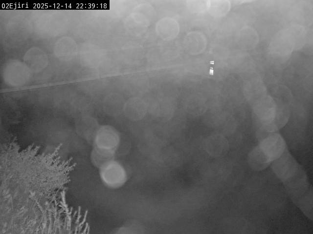 最新監視カメラ画像