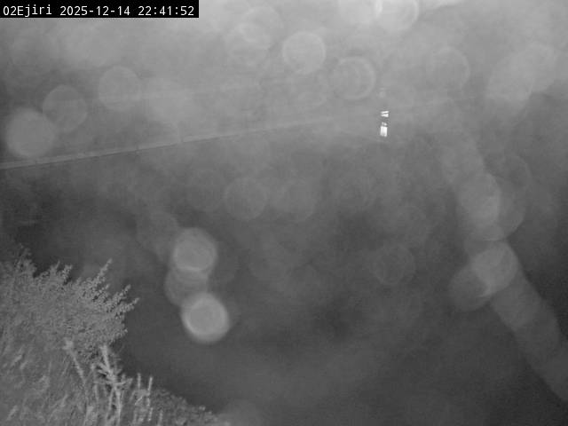 最新監視カメラ画像