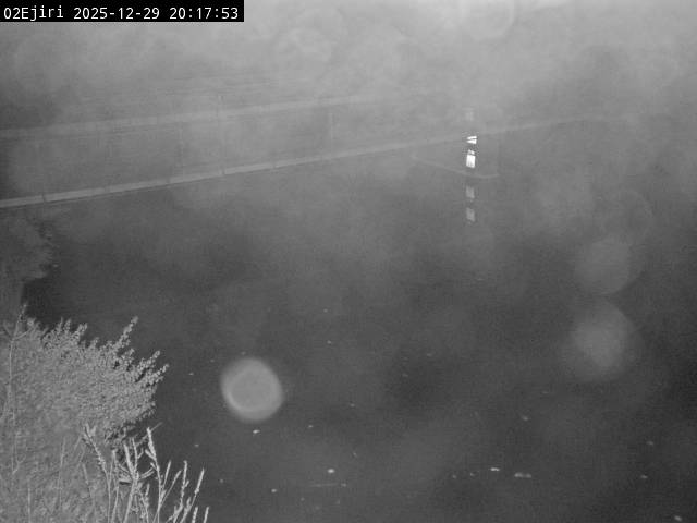 最新監視カメラ画像