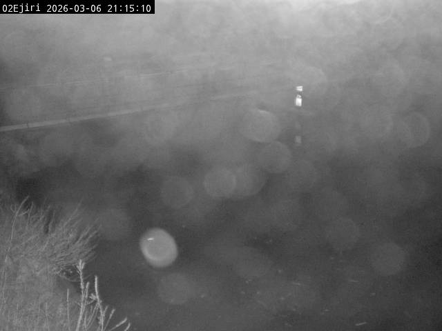 最新監視カメラ画像