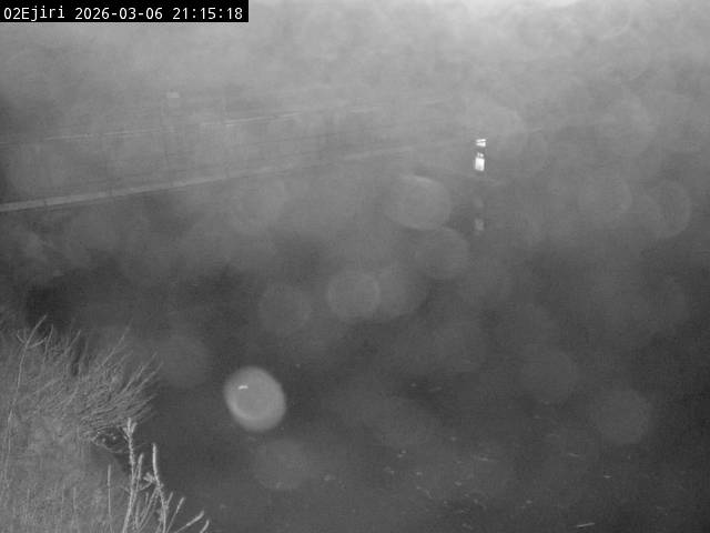 最新監視カメラ画像