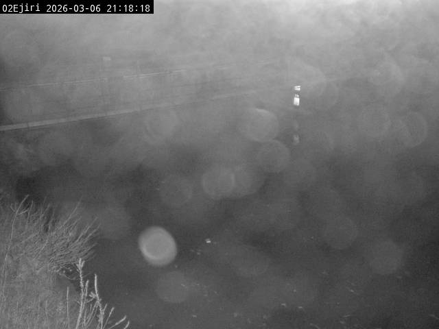 最新監視カメラ画像