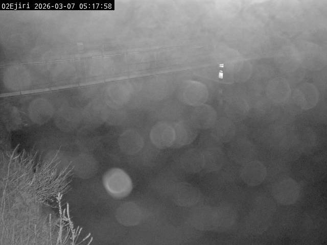 最新監視カメラ画像