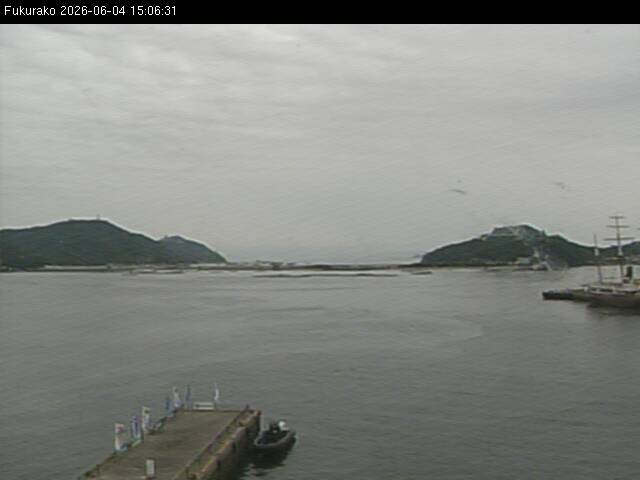 最新監視カメラ画像