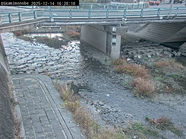 最新監視カメラ画像