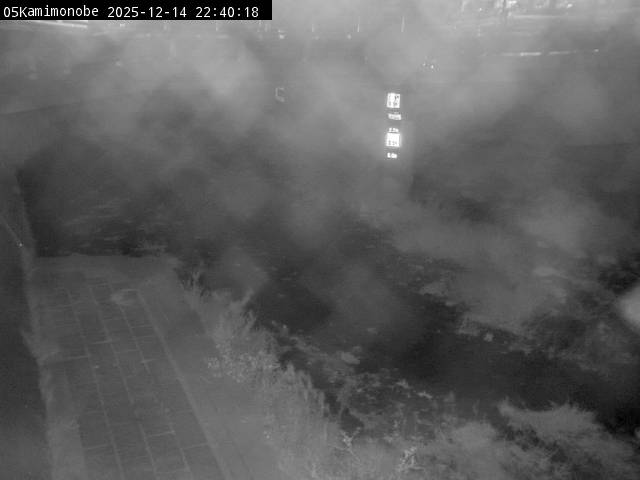 最新監視カメラ画像