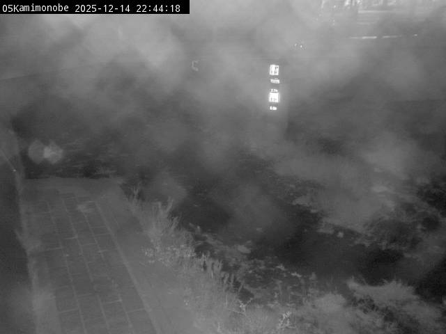 最新監視カメラ画像