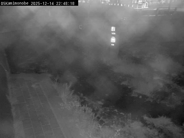 最新監視カメラ画像