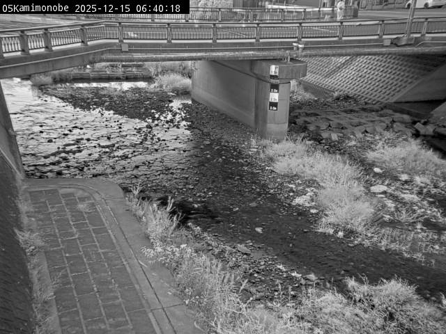 最新監視カメラ画像