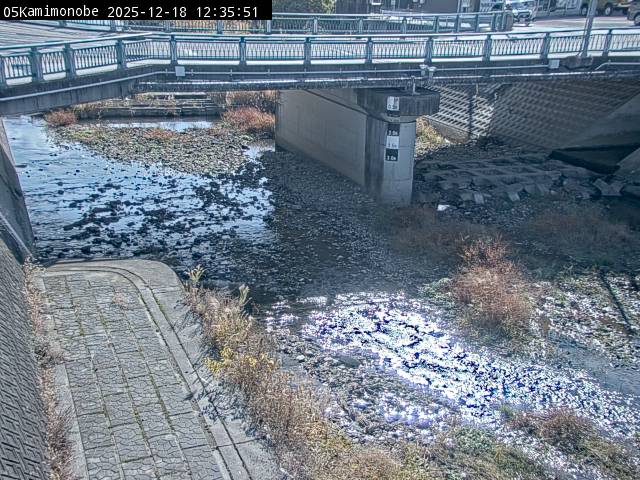 最新監視カメラ画像