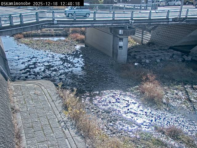 最新監視カメラ画像