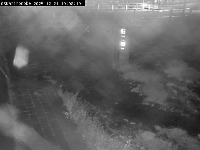 最新監視カメラ画像