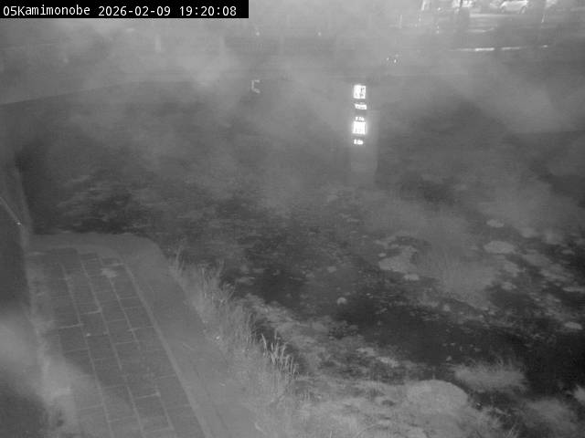 最新監視カメラ画像