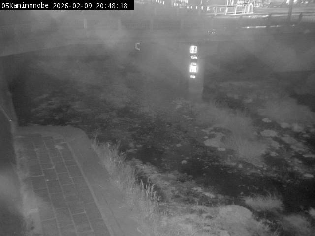 最新監視カメラ画像