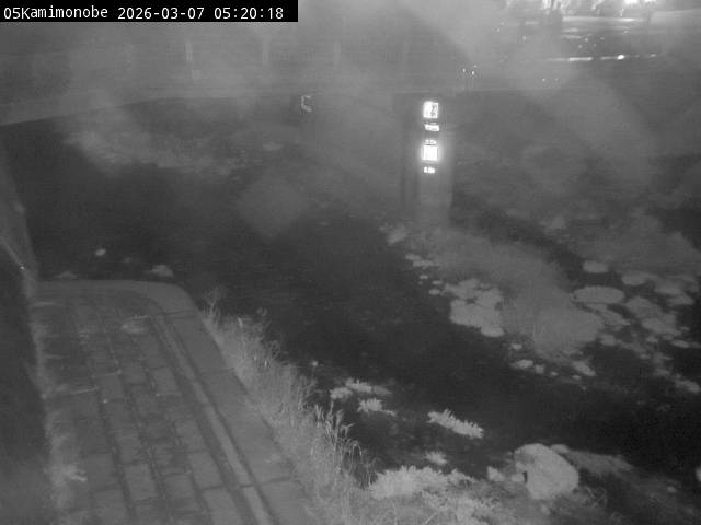 最新監視カメラ画像