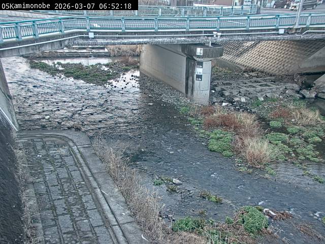 最新監視カメラ画像