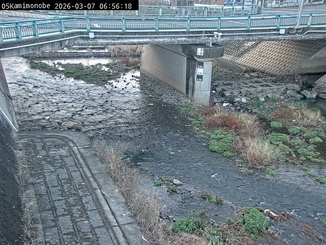 最新監視カメラ画像