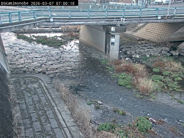 最新監視カメラ画像