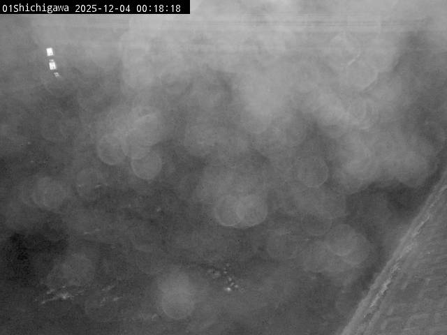 最新監視カメラ画像