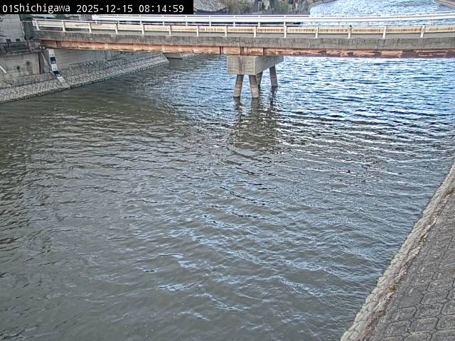 最新監視カメラ画像