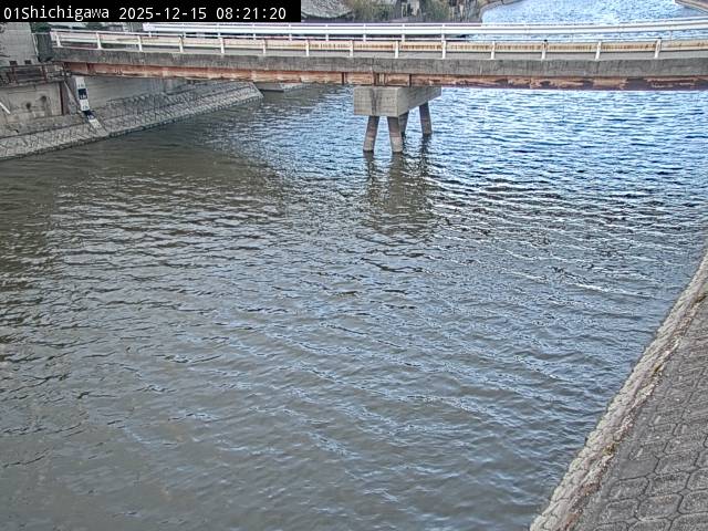 最新監視カメラ画像