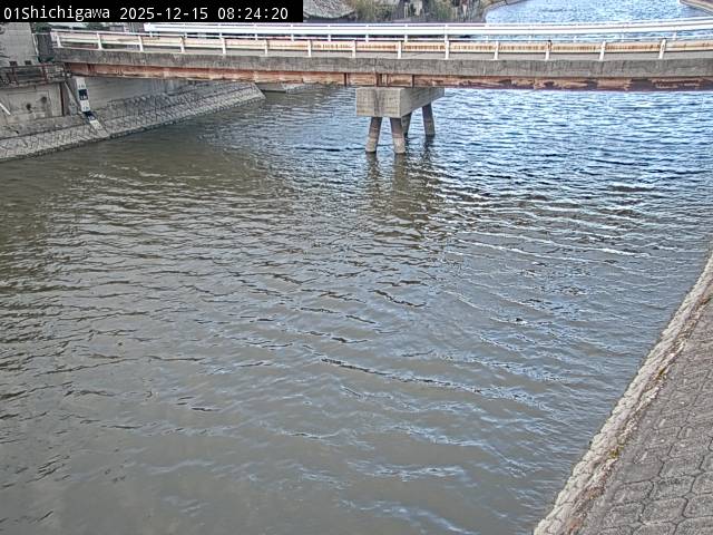 最新監視カメラ画像