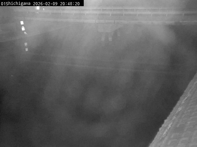 最新監視カメラ画像