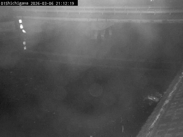 最新監視カメラ画像