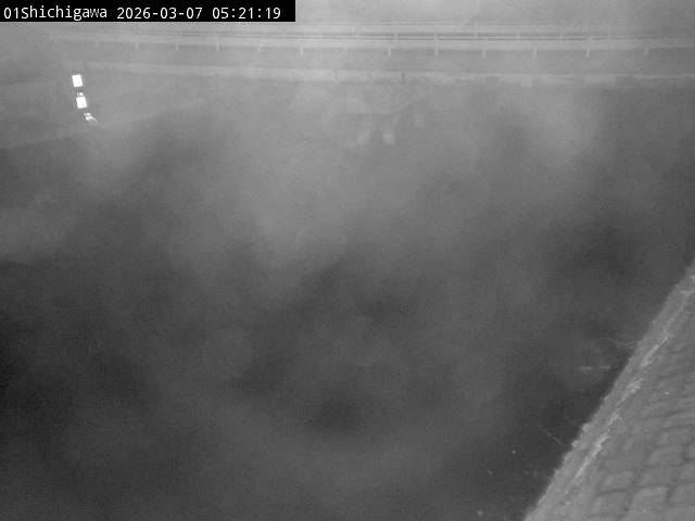 最新監視カメラ画像