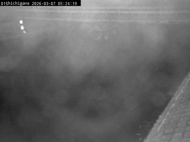 最新監視カメラ画像