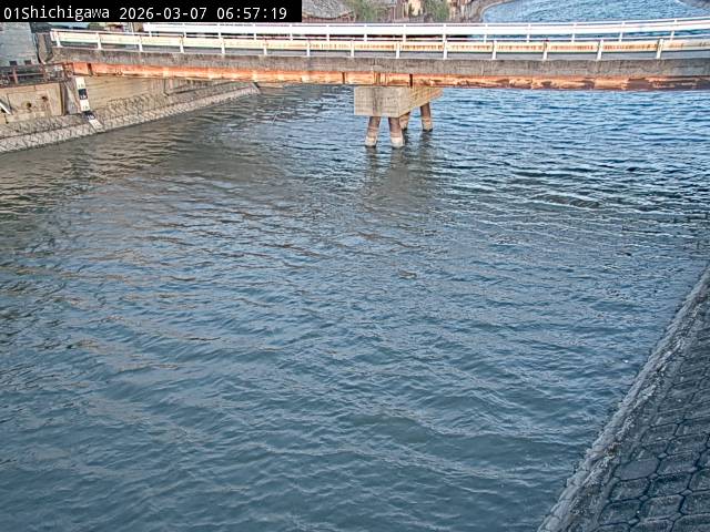 最新監視カメラ画像