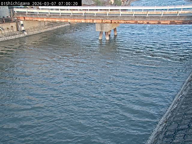 最新監視カメラ画像