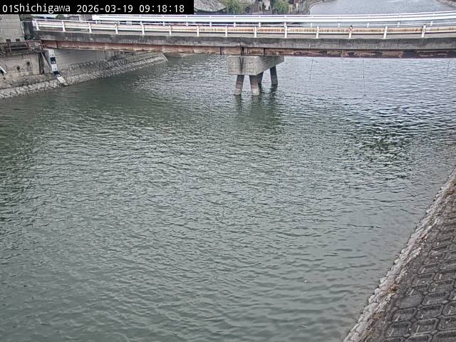 最新監視カメラ画像