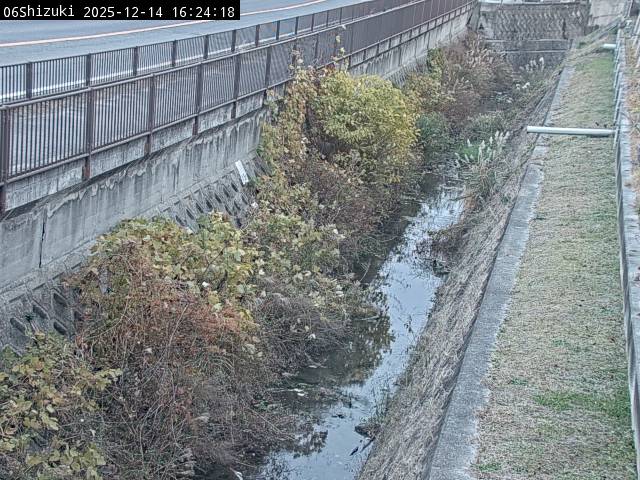 最新監視カメラ画像