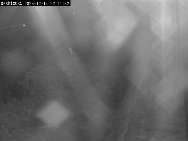 最新監視カメラ画像