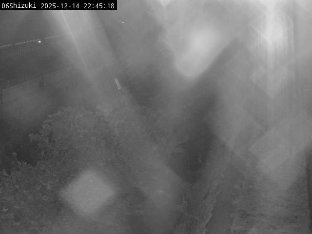 最新監視カメラ画像