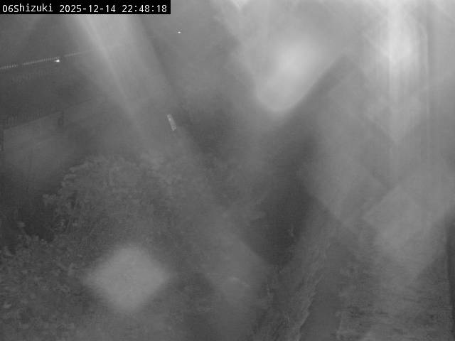 最新監視カメラ画像