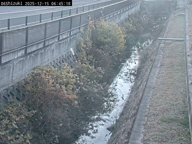 最新監視カメラ画像