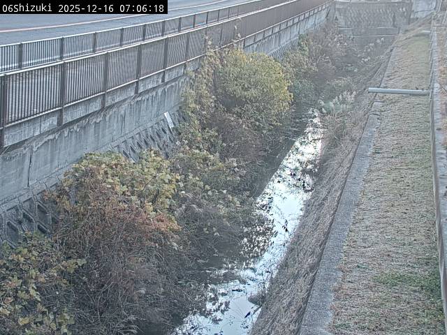 最新監視カメラ画像