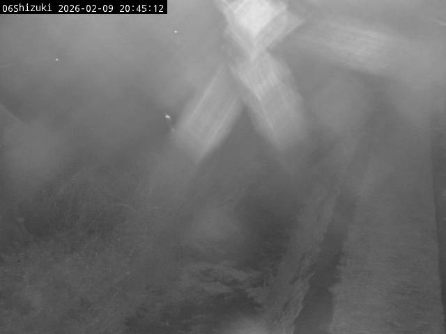 最新監視カメラ画像