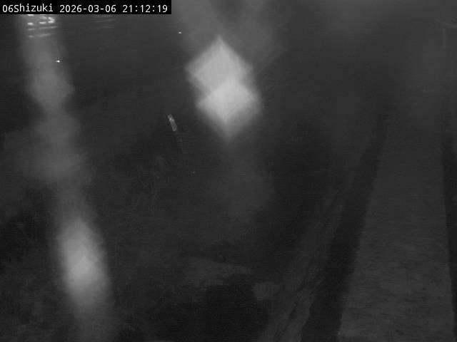 最新監視カメラ画像