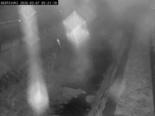 最新監視カメラ画像