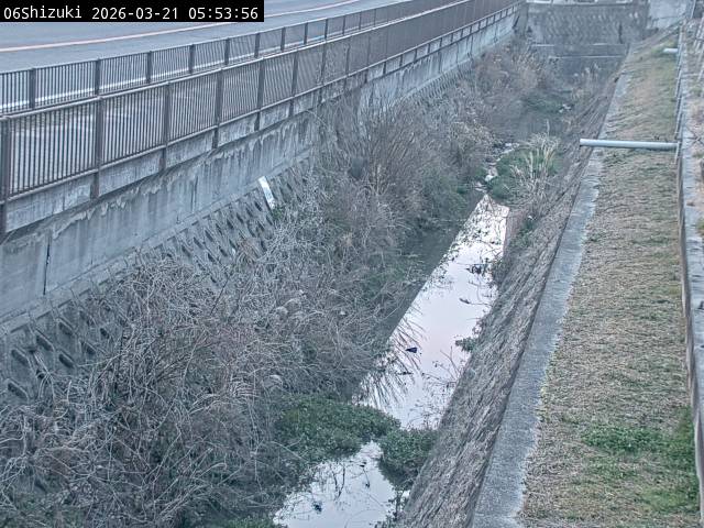 最新監視カメラ画像