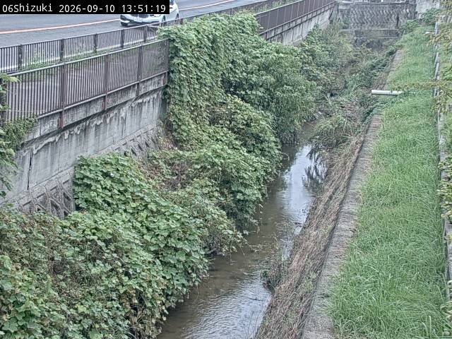 最新監視カメラ画像
